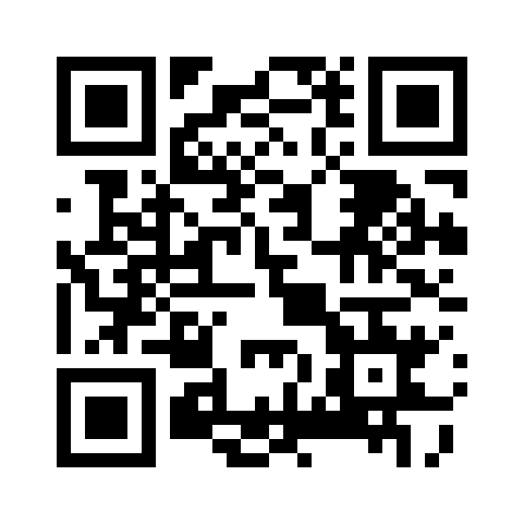 QR-Code ohne Logo zur ernstapp.com-Homepage